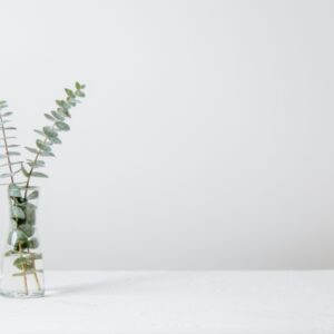 Hormone- picture of a plant in a cup of water